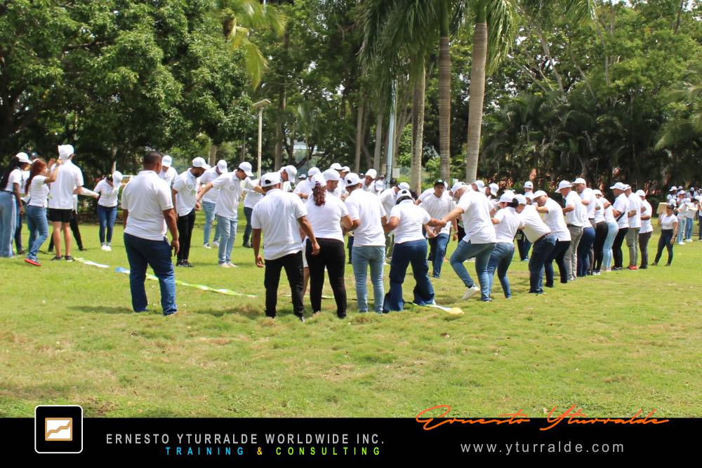 Actividades lúdicas y colaborativas en Talleres de Cuerdas Bajas para equipos corporativos