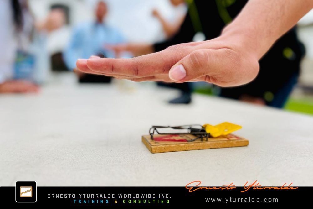 Sesiones de Team Building con Talleres de Cuerdas Bajas para equipos corporativos